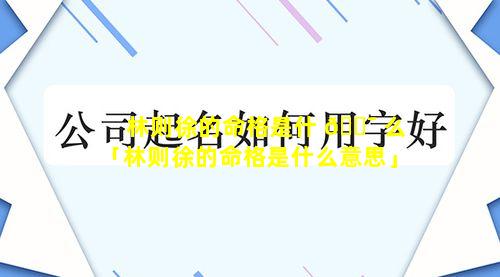 林则徐的命格是什 🐯 么「林则徐的命格是什么意思」